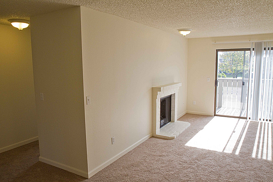 Property Photo 32295 - Wood Burning Fireplace Included in All Homes