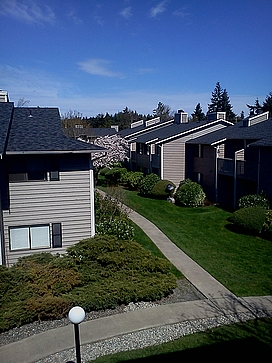 Property Photo 36291 - 